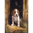 Kép 1/4 - Royal Langnickel számfestő készlet Beagle 22 × 30 cm