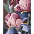 Kép 1/6 - Számfestő, számozott kifestő Lila szépségek 40 × 50 cm feszített vászon Brushme