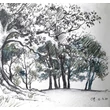 Kép 5/5 - Cretacolor AquaGraph ceruzával rajzolt fák 
