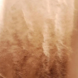 Kép 3/5 - Decola füstfólia lap réz 14 × 14 cm 25 darab
