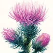 Kép 5/7 - Strathmore spirálos akvarelltömb cold press 300 g 18 × 25 cm
