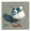 Kép 7/8 - Strathmore rajztömb 1 kitépett szürke lapja, rajta színes rajz egy galambról