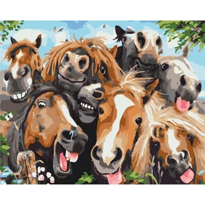 Számfestő, számozott kifestő Ló szelfi 40 × 50 cm feszített vászon Brushme