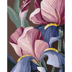 Számfestő, számozott kifestő Lila szépségek 40 × 50 cm feszített vászon Brushme