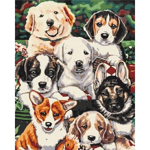 Számfestő, számozott kifestő Kiskutyák 40 × 50 cm feszített vászon Brushme