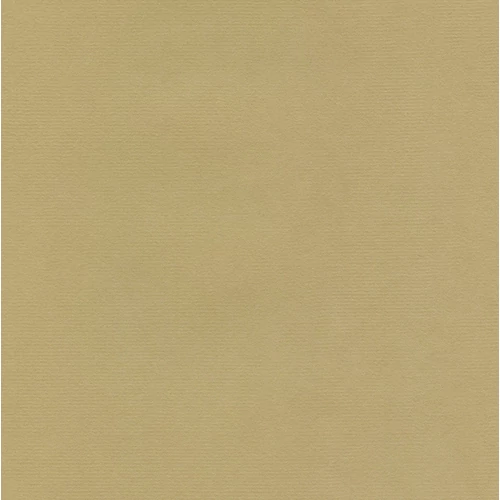 Hahnemühle Ingres mould-made pasztellpapír 118 szürkésbarna