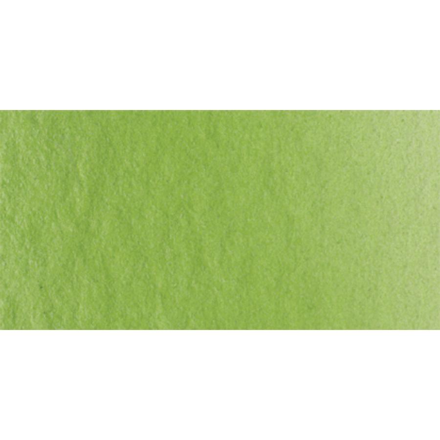 Lukas 1862 akvarellfesték 1165 nedvzöld (Sap Green)